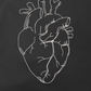 Broderie inima anatomica